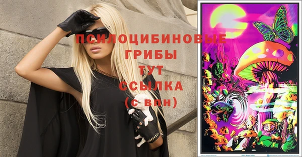 хмурый Горно-Алтайск