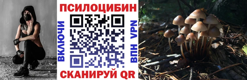 Псилоцибиновые грибы Psilocybe  Меленки 
